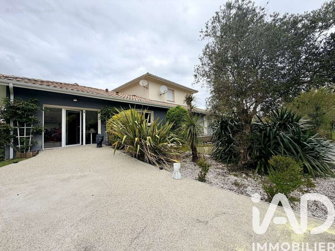 Photo 5 - Maison à PARENTIS-EN-BORN