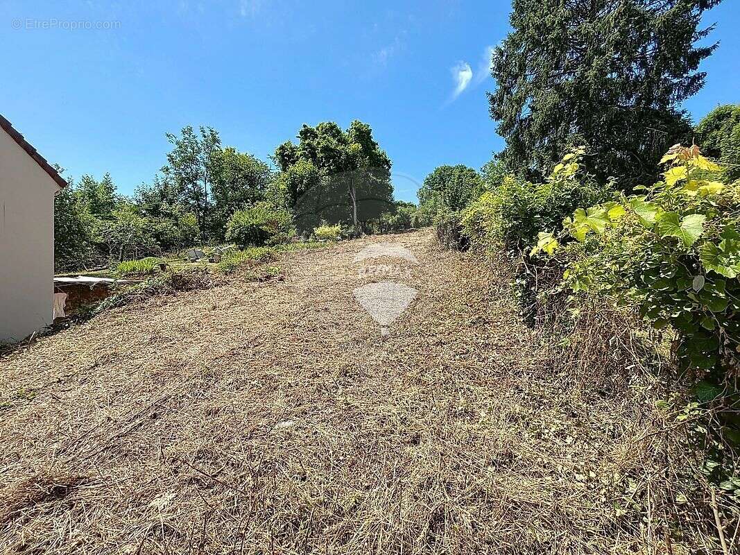 Terrain  à vendre - photo 4