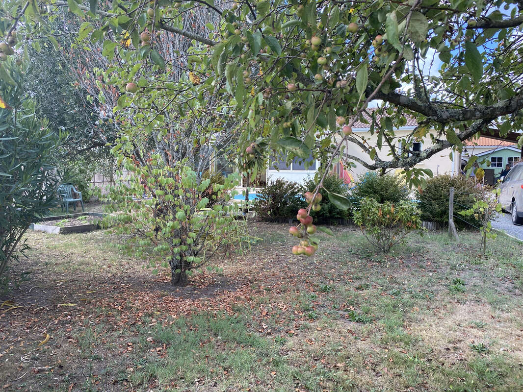 Maison à CASTELNAU-DE-MEDOC