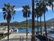 Photo 1 - Appartement à ARGELES-SUR-MER