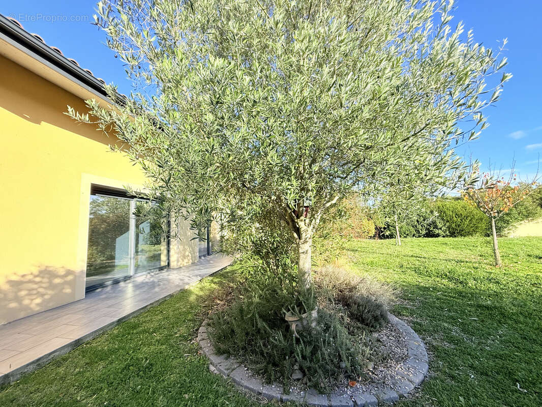 Maison à FONTENILLES