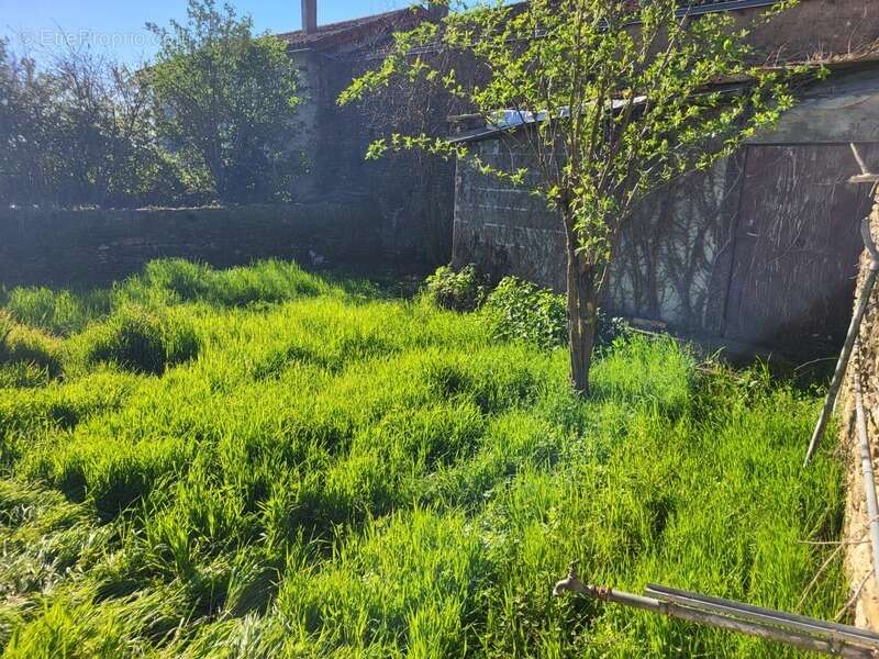 Maison à vendre 4 pièces SAINT JOUIN DE MARNES (79) Terrain 318 m² - photo 9