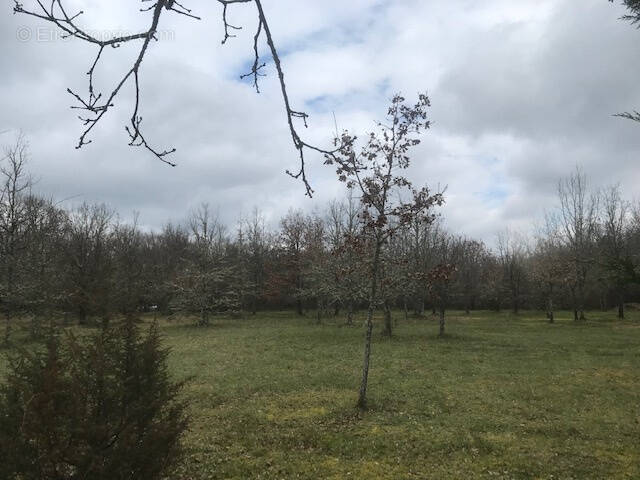 Terrain à CASTELNAU-MONTRATIER