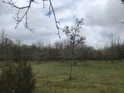 Terrain à CASTELNAU-MONTRATIER