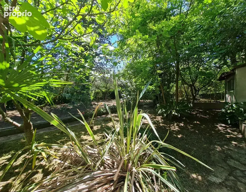 Alès - Maison Bourgeoise 330 m2 sur 1500m² de terrain clos - photo 15