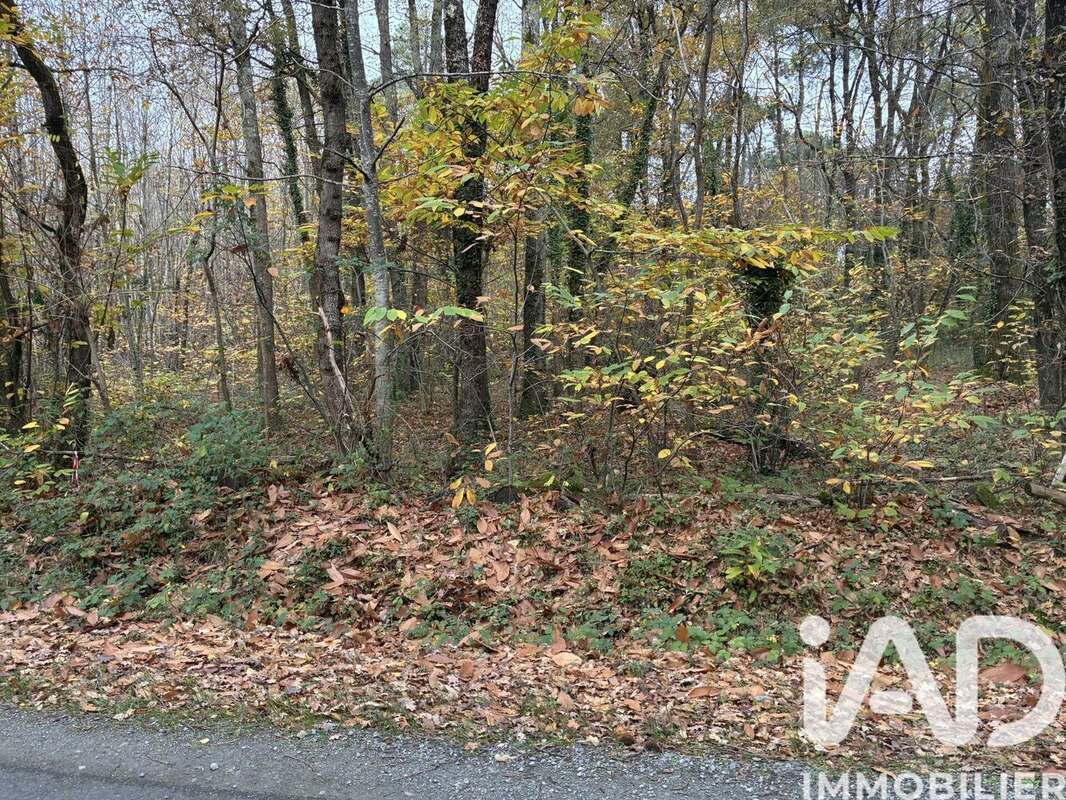 Photo 3 - Terrain à AZAY-LE-FERRON