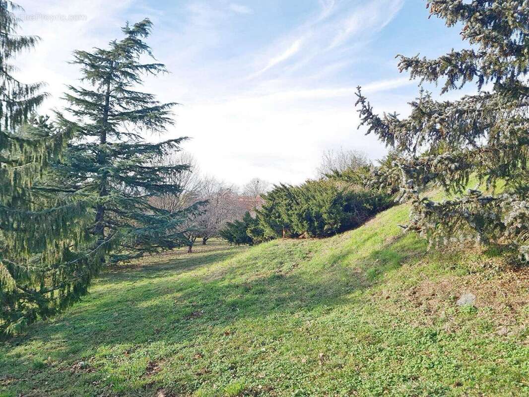 GRANGE sur TERRAIN 7543m² VUES magnifiques - photo 9