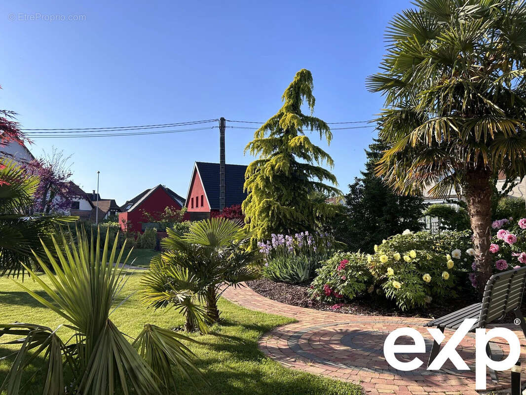 Maison à LA WANTZENAU