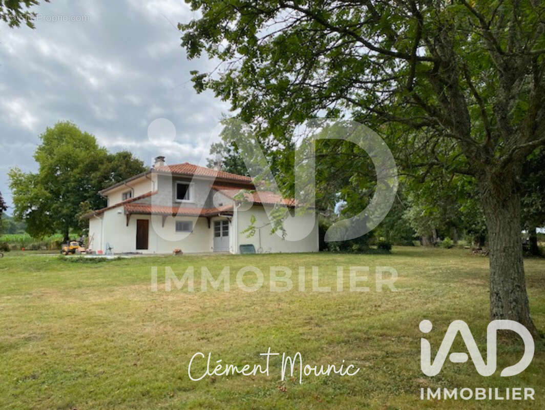 Photo 2 - Maison à TOURNAY