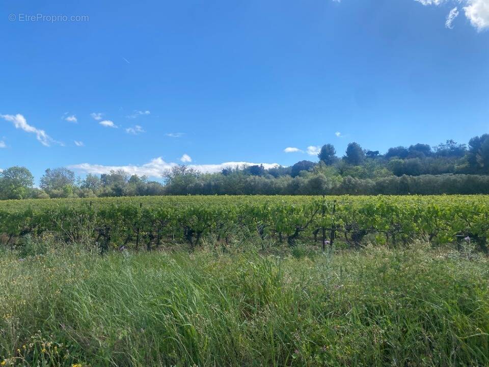 Terrain à GINESTAS