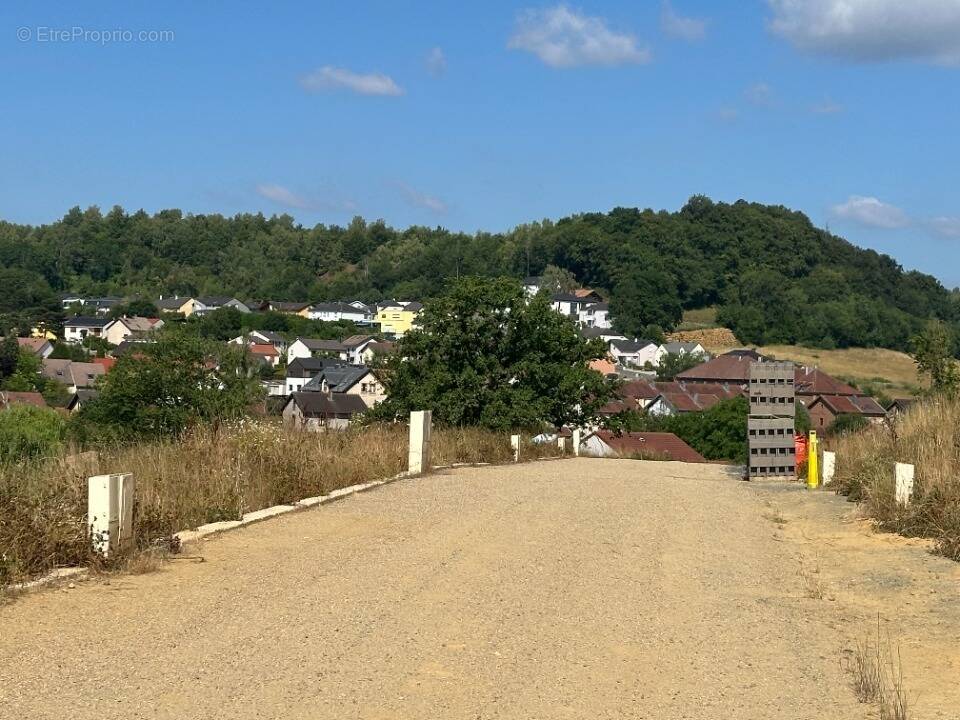 Terrain à LUTTANGE