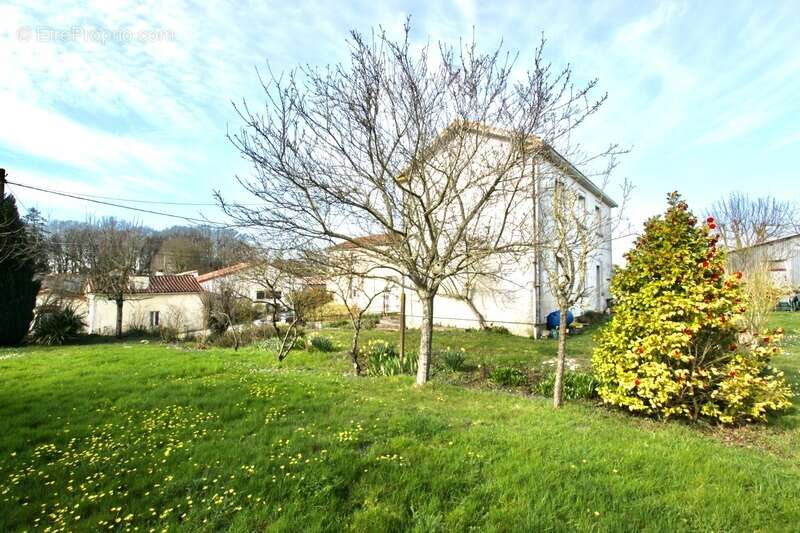 Maison viager à vendre occupé 8 pièces LE BOUPERE (85) - photo 2
