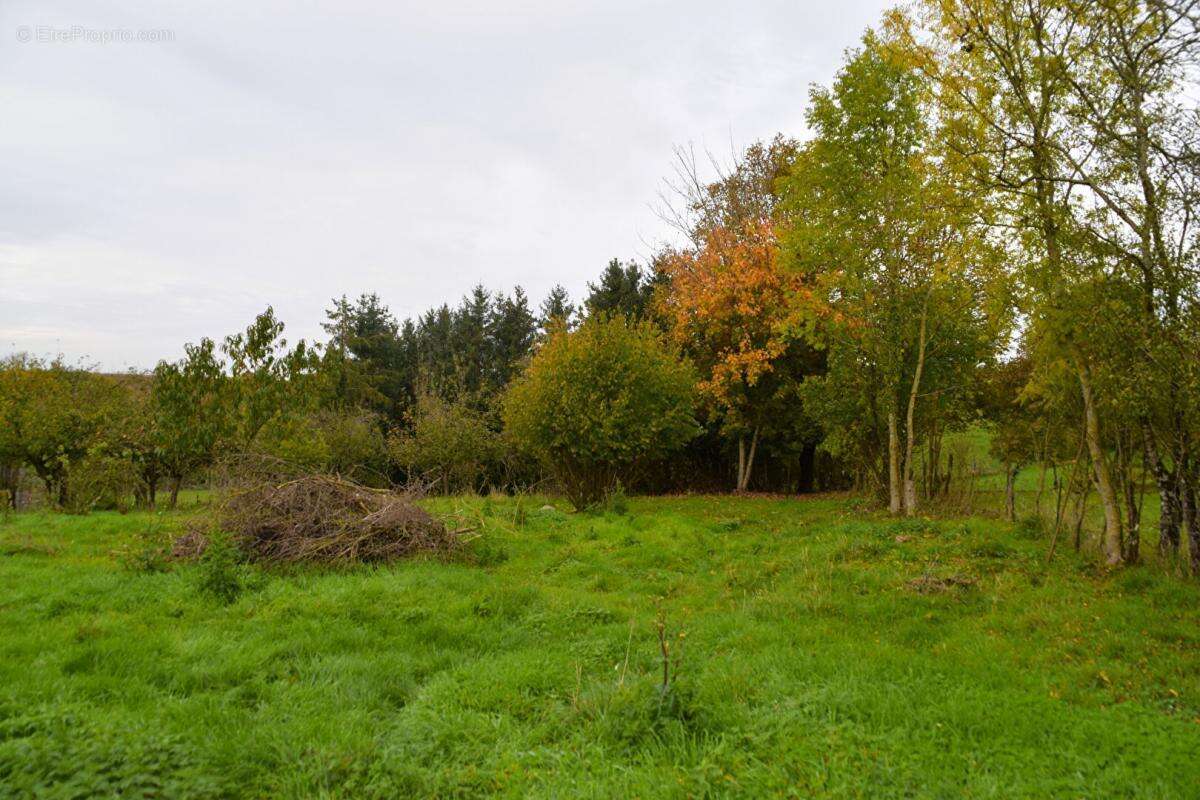 Terrain à CHEPPY