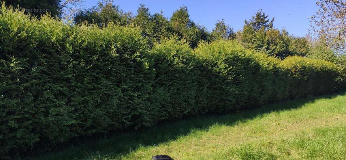 Photo 5 - Terrain à BRETAGNOLLES