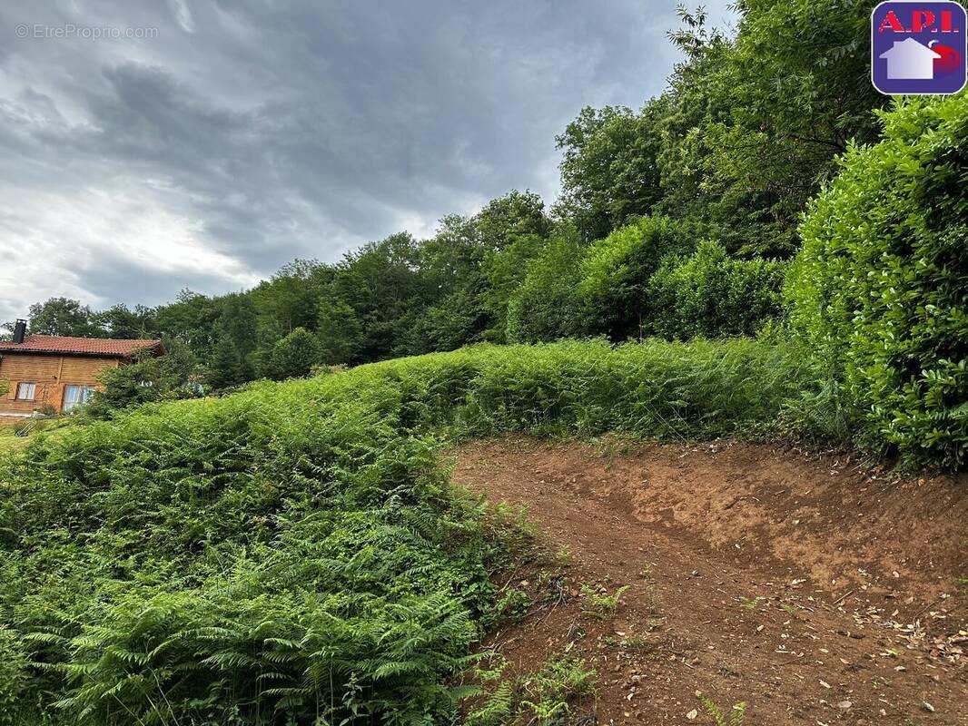 Terrain 2292 m² à Rimont  - photo 3