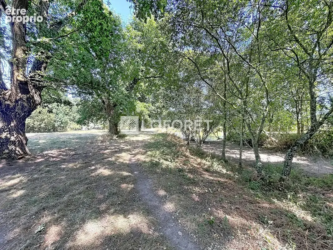 Terrain Allaire 16500 m2 - photo 5