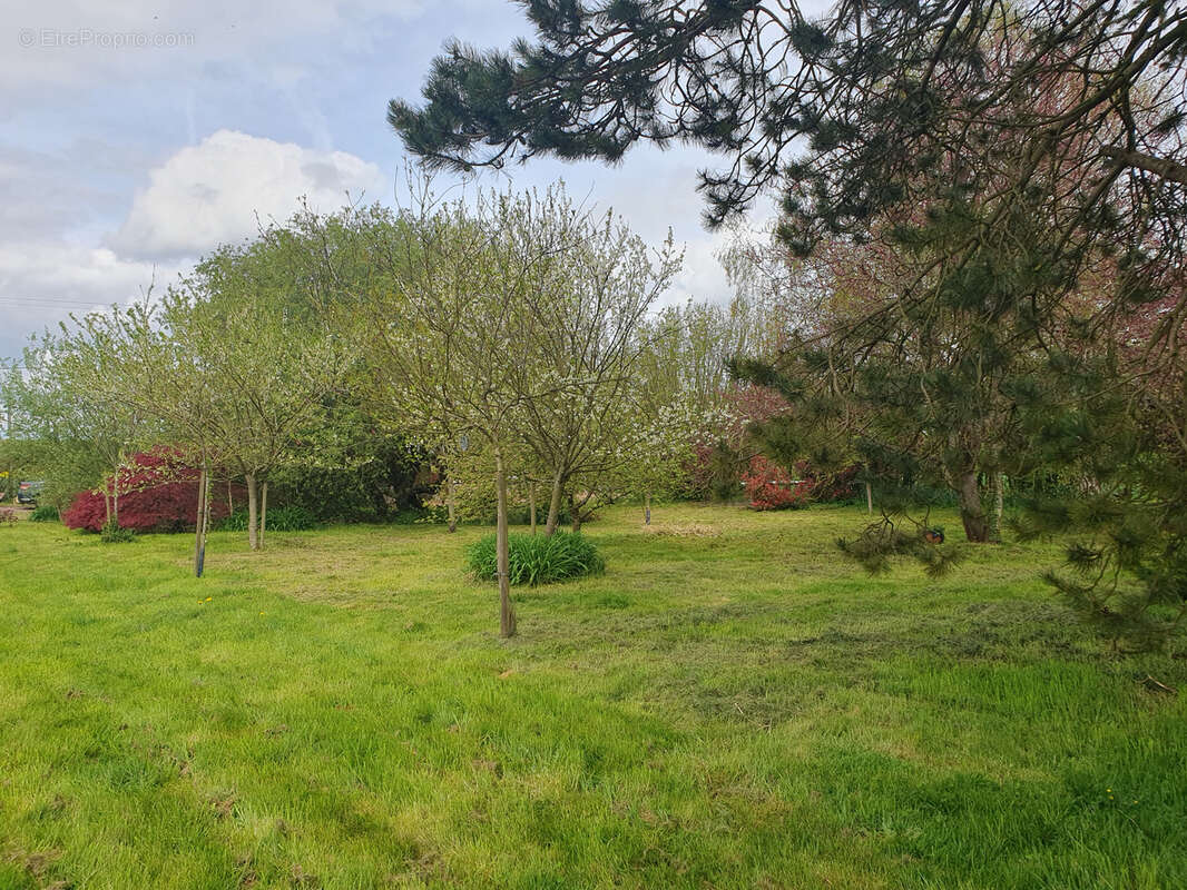 Maison à CORMEILLES