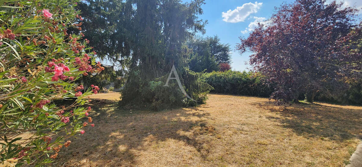 Vivonne - maison - sous sol - jardin - photo 11