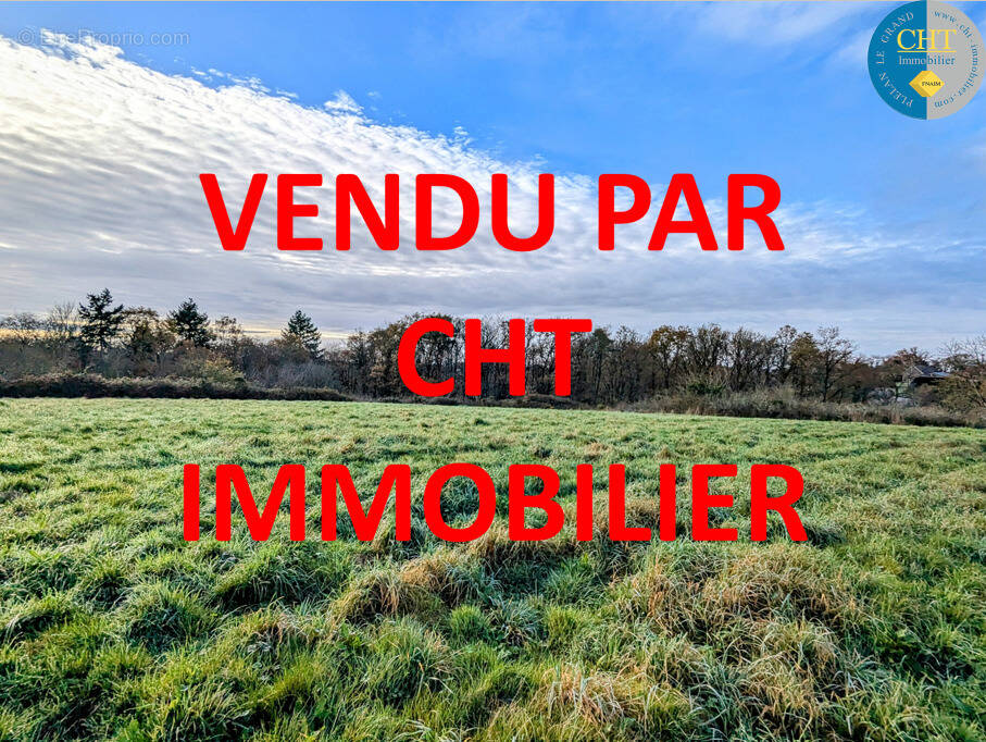 Terrain à MONTENEUF