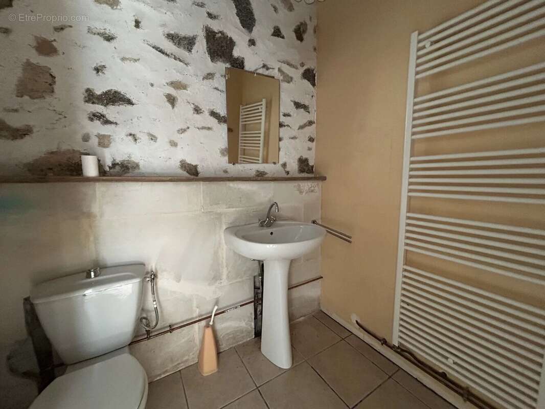 Maison à ASNIERES-SUR-BLOUR