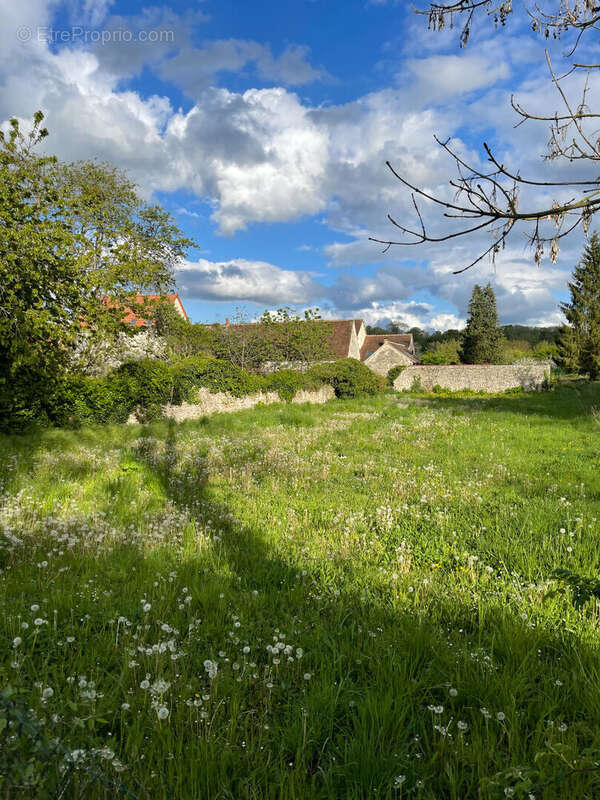 Terrain à FONTENAY-SAINT-PERE