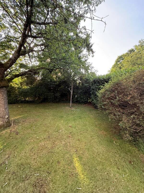 Terrain à GIF-SUR-YVETTE