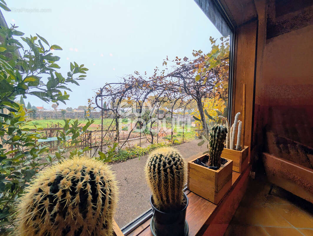 Maison à DECINES-CHARPIEU