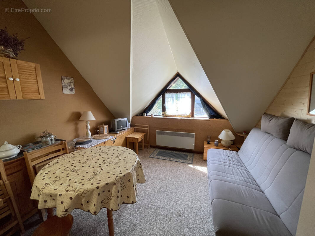 Appartement à LAVEISSIERE