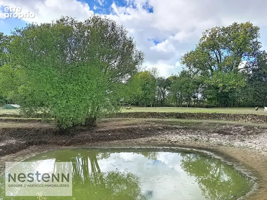 Charmante longère en pierre à vendre à Sallertaine, alliant confort et espace - photo 16