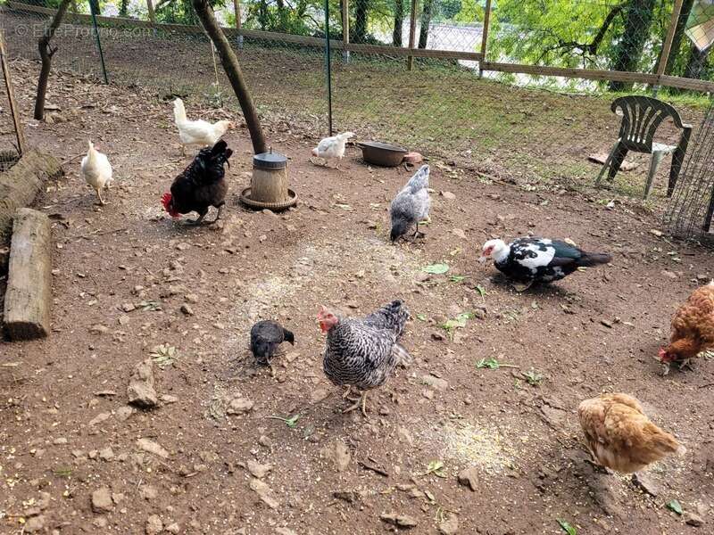 Maison à SAINT-SERNIN-DU-PLAIN