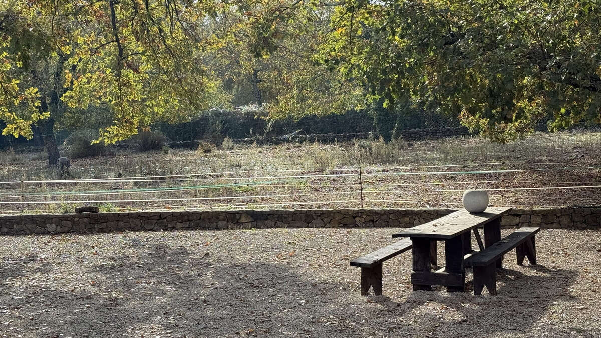 Maison à TOURRETTES