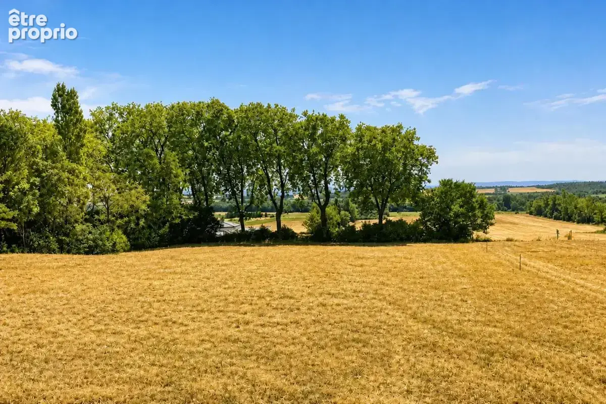 Villa Haut de gamme de 167 m² avec terrain de 4800 m2 à Villespy - photo 16