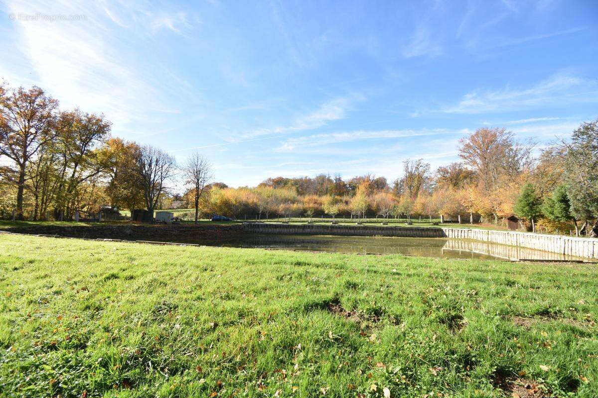 Terrain à SAVIGNY-EN-SANCERRE