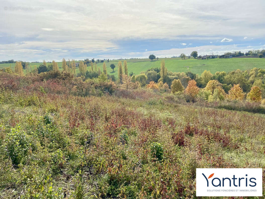 Terrain à MONTASTRUC-LA-CONSEILLERE