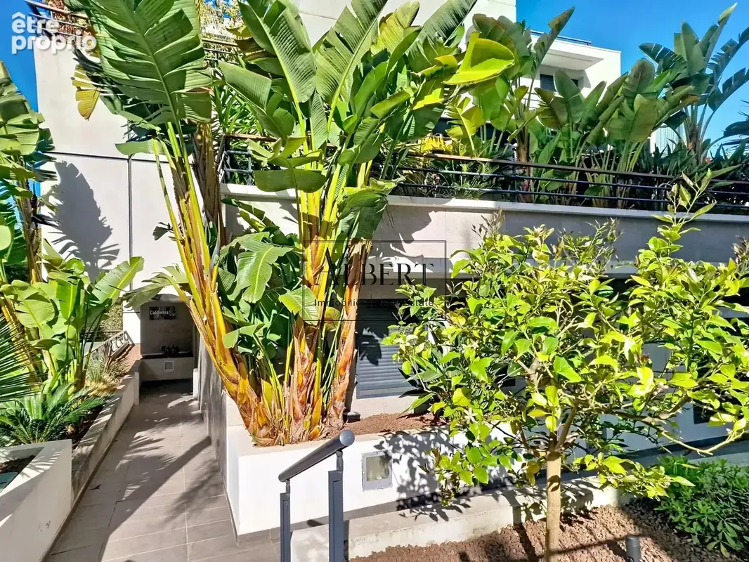 Cannes montfleury/basse californie 2p residence neuve grande terrasse - photo 4