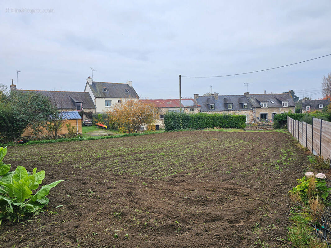 Terrain à LANGUEUX