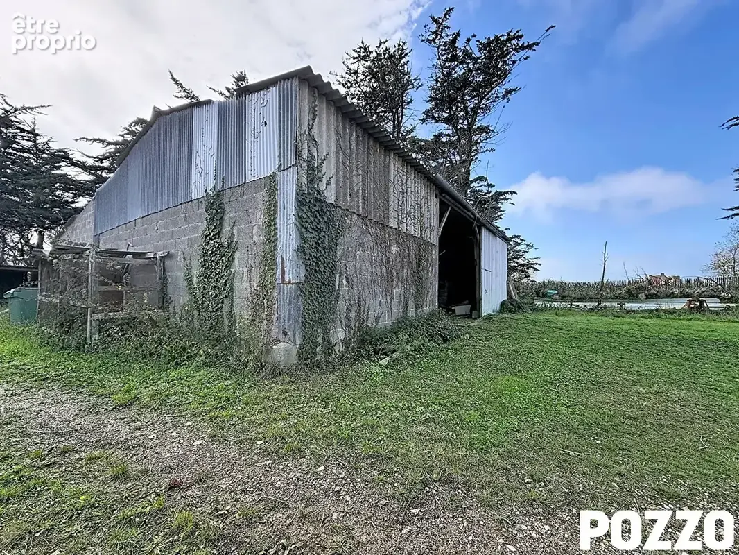 Maison surtainville 4 pièces 68.47 m2 - à vendre ? maison de plain-pied avec hangar et grand terrain à surtainville - photo 5