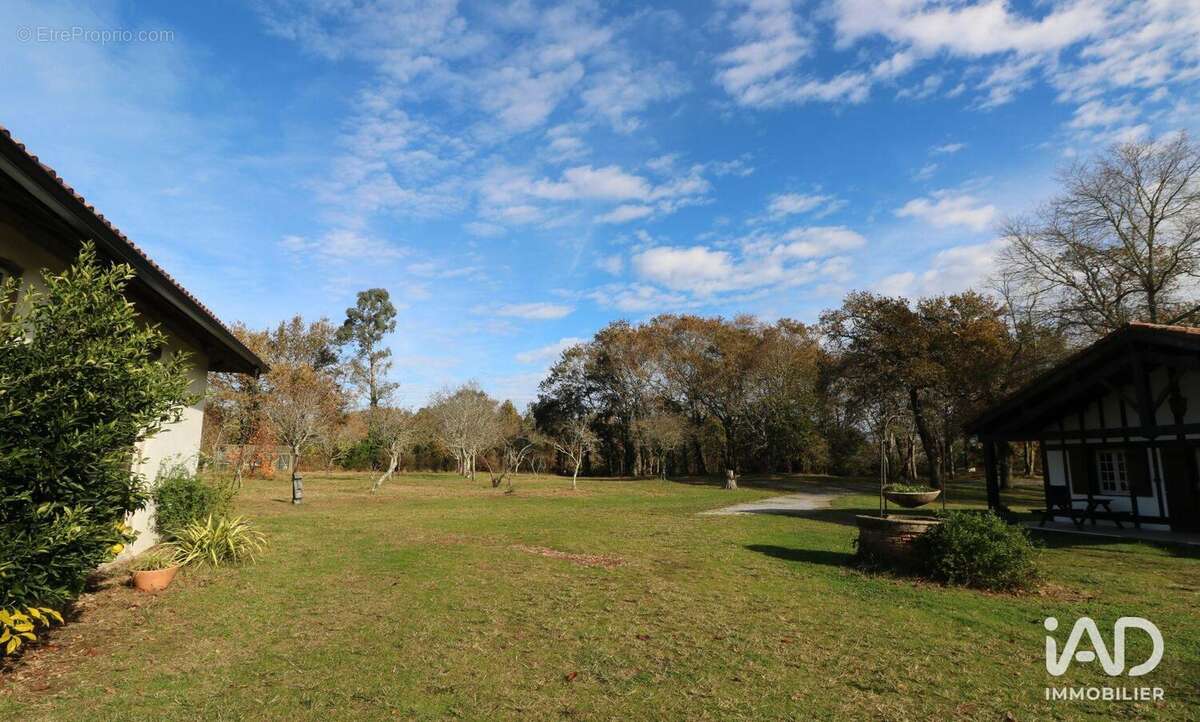 Photo 3 - Maison à SAINT-VINCENT-DE-TYROSSE