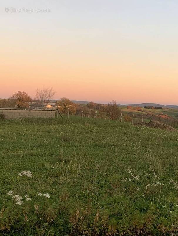 Terrain à SAINT-CIRGUE