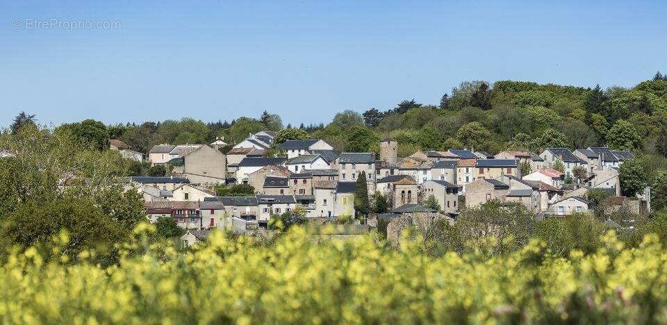 Terrain à FONTIERS-CABARDES