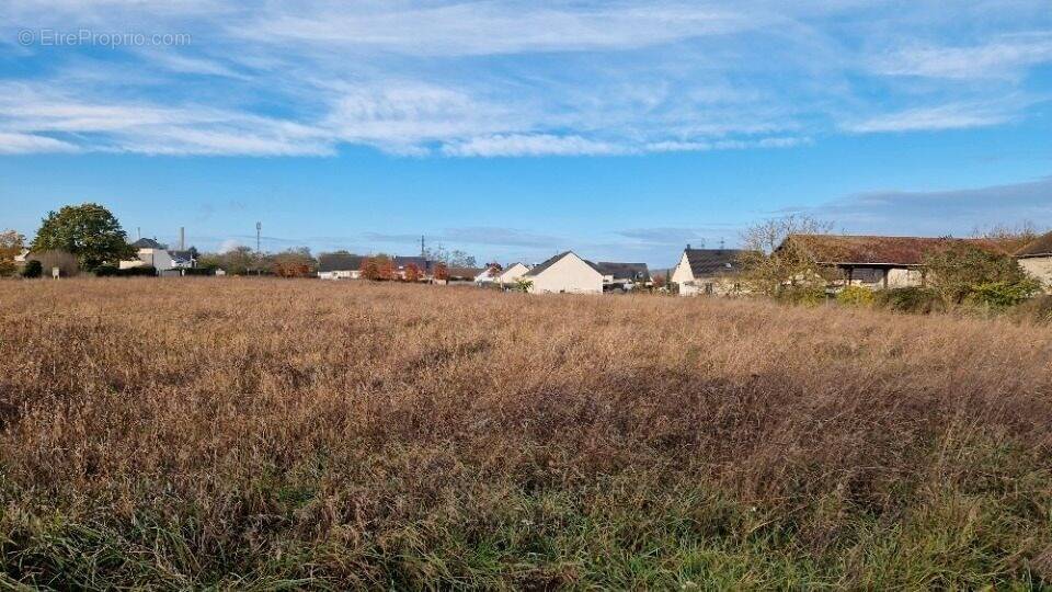 Terrain à LE MANOIR