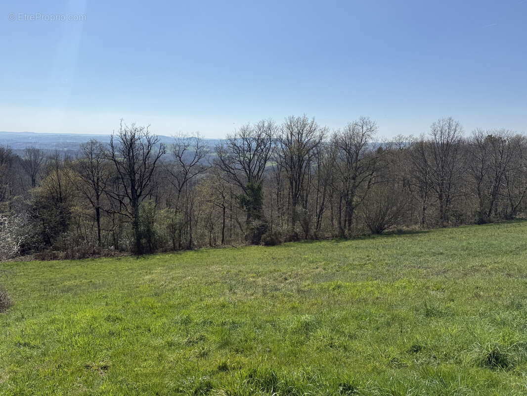 Propriete avec dependances et 11 ha de terrain - photo 22