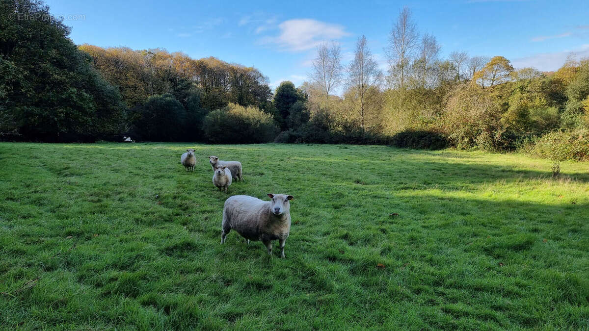 Terrain à MENEAC