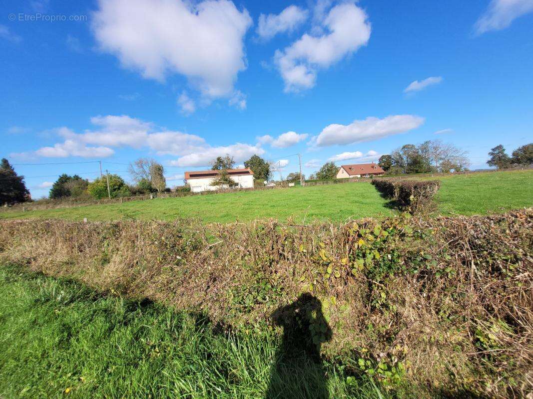 Terrain à SAINT-SAUVIER