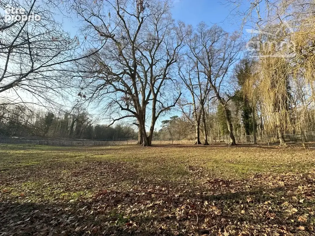 Château historique à réinventer - photo 5
