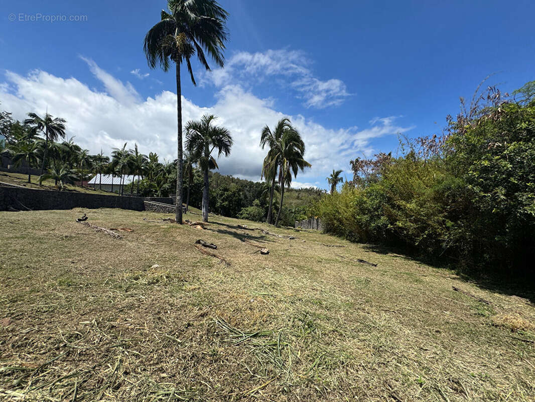 Terrain à SAINT-DENIS