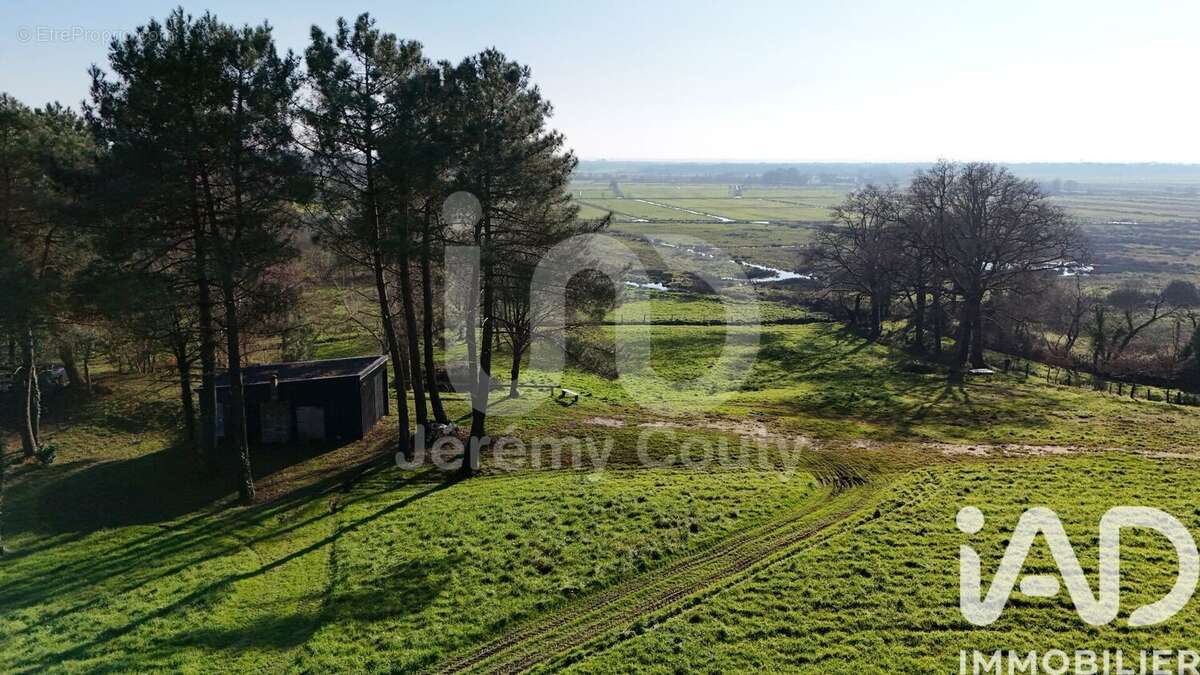 Photo 7 - Maison à SAVENAY