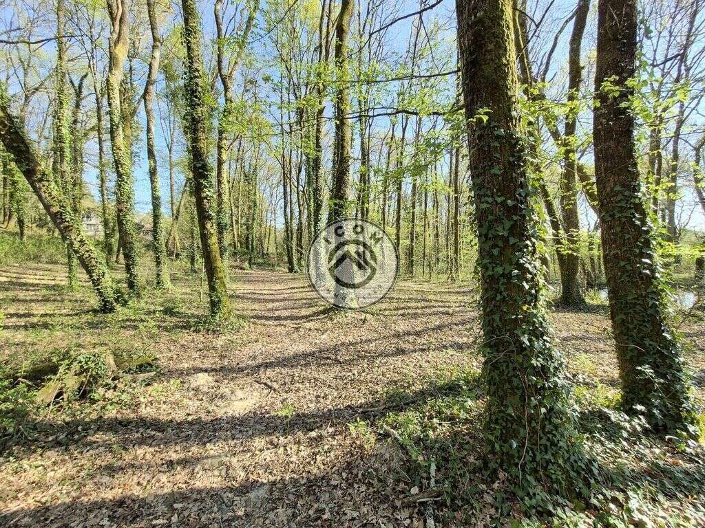 Deux maisons indépendantes sur plus d'un hectare de terrain - photo 25