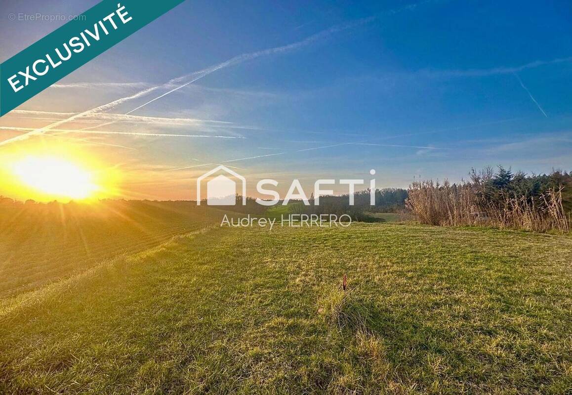 Photo 1 - Terrain à VILLENEUVE-LES-BOULOC