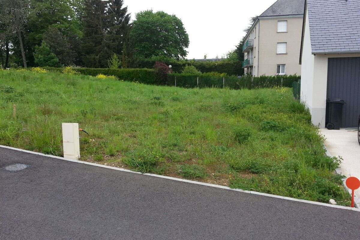 Terrain à NEUVY-LE-ROI